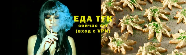mdpv Бородино