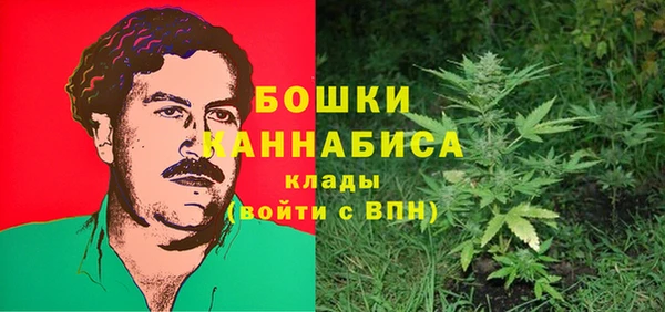 ECSTASY Богородицк