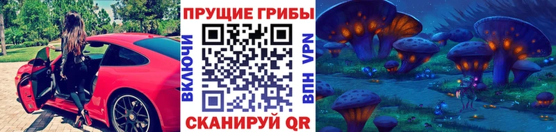где можно купить   Льгов  Псилоцибиновые грибы прущие грибы 